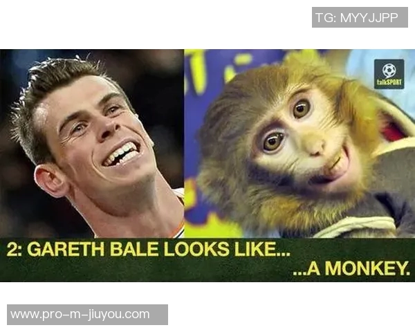 动物名在姓氏中的足球明星们的精彩瞬间与成就分享