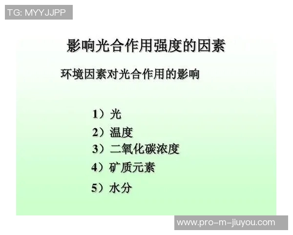 小学生体育运动项目的多样性与发展对健康成长的重要影响分析